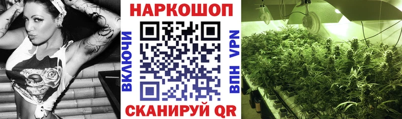 Купить наркотики цена Купино ГАШ  Cocaine  ТГК  блэк спрут ссылка  Амфетамин  МЕФ  APVP  Канабис 