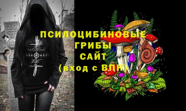 бутират Нягань