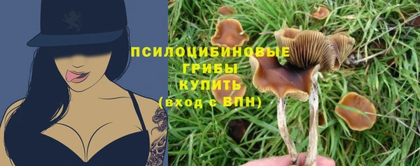 не бодяженный Новокубанск