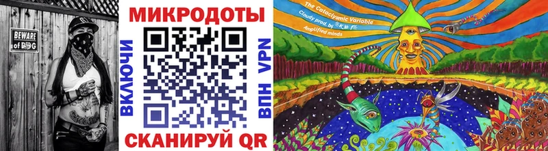 Псилоцибиновые грибы мухоморы  цены наркотик  Купино 